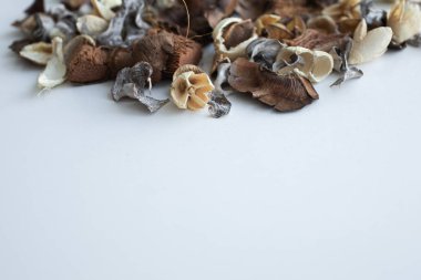 Çiçek kompozisyon. Beyaz arka plan üzerinde kurutulmuş gül çiçeklerin çerçeve yaptı. Düz yatıyordu, en iyi görünüm, kopya alanı