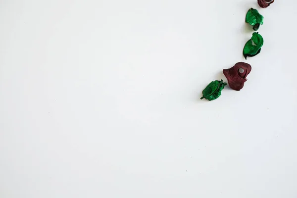 꽃 구성입니다. 흰색 바탕에 말린된 장미 꽃 프레임에 의하여 이루어져 있다. 평면 위치, 최고 보기, 복사 공간 — 스톡 사진