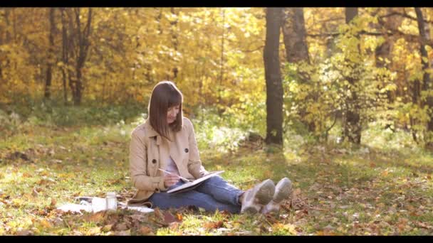 Vista lateral de una joven mujer pintando un paisaje en un parque. Hermosa chica morena con un cepillo en sus manos dibujando un bosque y un lago al aire libre — Vídeos de Stock