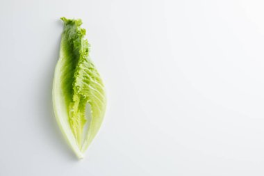 Beyaz arka planda salata ve fesleğen. En küçük konsept