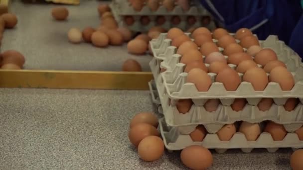 Hühnerverpackungen in der Eierfabrik. Hühnereier auf dem Hof automatische Tablett und verpackt — Stockvideo