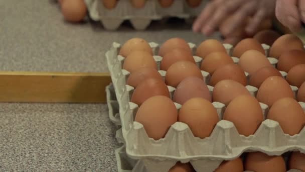 Oeuf usine poulet emballage. oeufs de poulet sur le plateau automatique de la ferme et emballés — Video