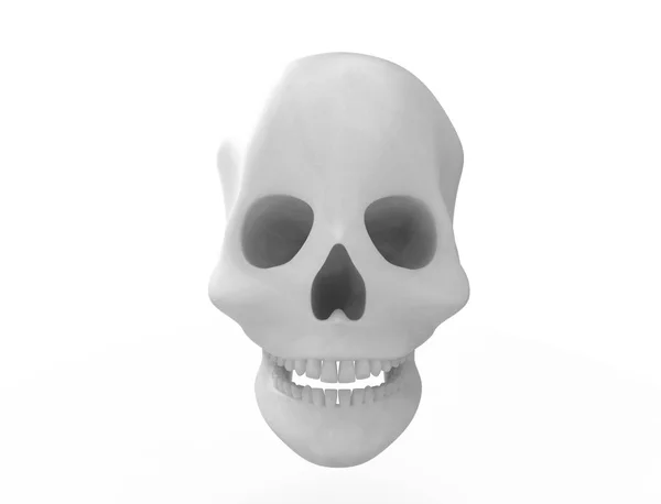 Representación 3D de un cráneo aislado sobre fondo blanco . — Foto de Stock