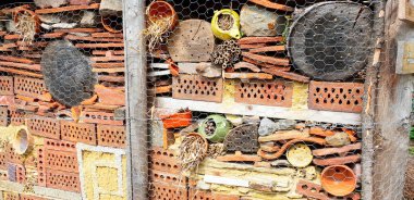 Böcek otel güneşli bir günde kapatın.