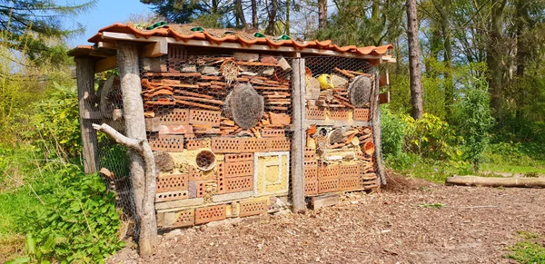Insect hotel in the park in a summer season.