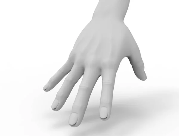 3d rendering of a spread out hand with wrist isolated in white background — 스톡 사진