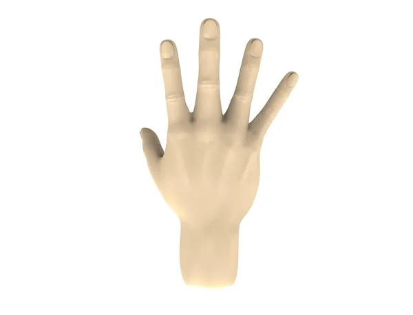 3d renderowanie rozłożonej dłoni z nadgarstkiem izolowanym w białym tle — Zdjęcie stockowe
