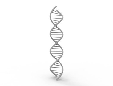 Beyaz arkaplanda izole edilmiş 3d DNA dizisi