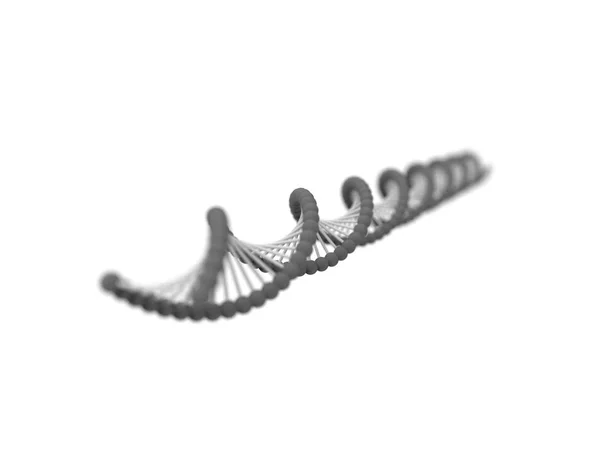 3d renderelés a DNS húr elszigetelt fehér háttér — Stock Fotó