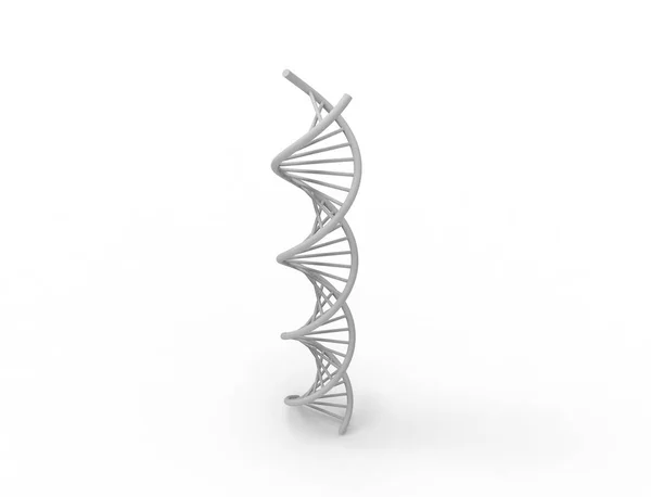 3D рендеринг ДНК строка изолированы в белом фоне — стоковое фото
