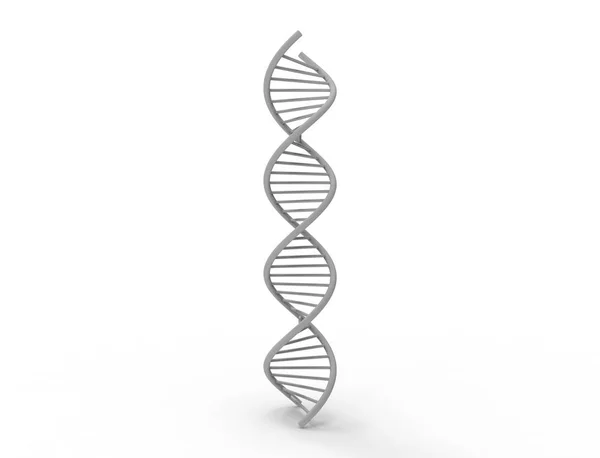 Renderização 3d de cadeia de DNA isolado em fundo branco — Fotografia de Stock