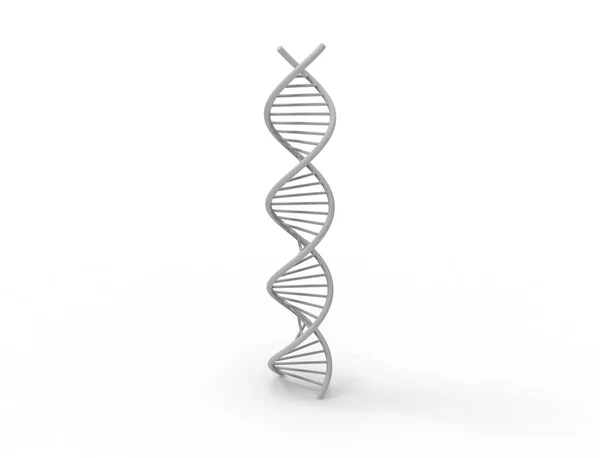 3d rendering of DNA string isolated in white background — 스톡 사진