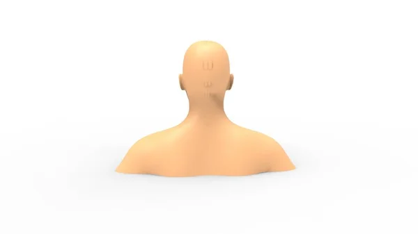 3d rendering of a human model isolated in white background — 스톡 사진