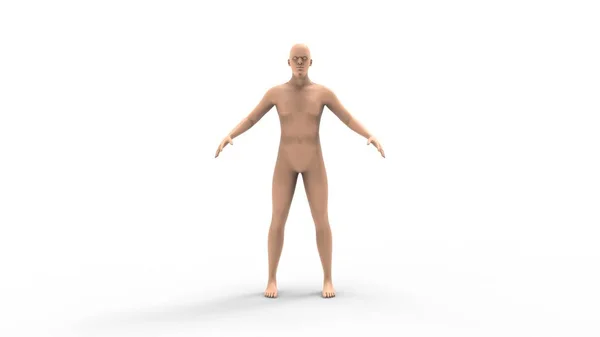 3d renderização de um modelo humano isolado em fundo branco — Fotografia de Stock