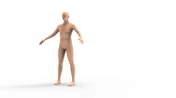 3D-Darstellung eines menschlichen Modells isoliert auf weißem Hintergrund — Stockfoto
