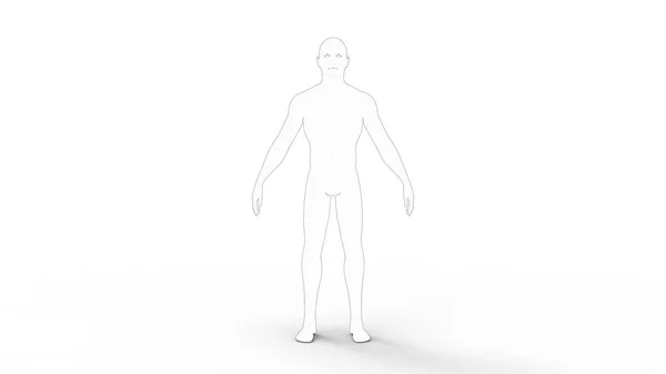 Beyaz arka planda izole edilmiş erkek kaba bir modelin 3D görüntüsü — Stok fotoğraf