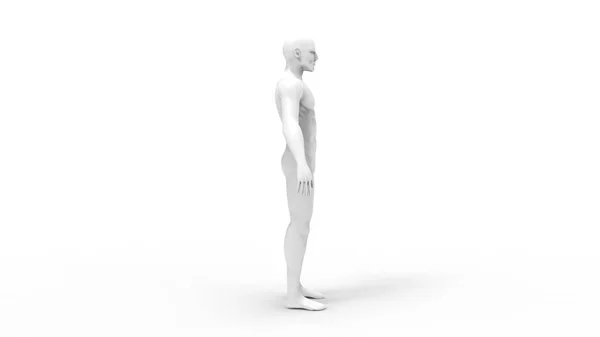 3D-рендеринг мужчины модели человека, изолированного в белом фоне — стоковое фото