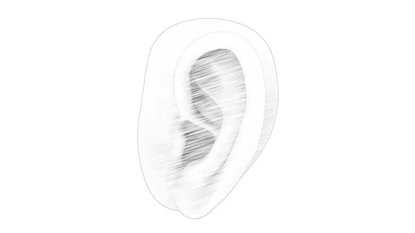 Representación 3d de un oído humano aislado en fondo blanco del estudio — Foto de Stock