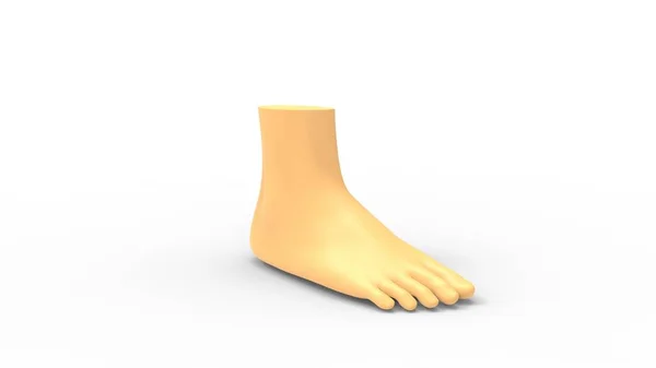 Human foot 3d rendering isolated in white studio background — 스톡 사진