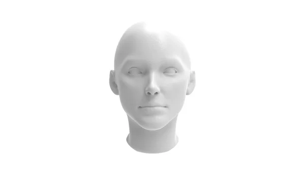 3d rendering of a human model isolated in white background — 스톡 사진