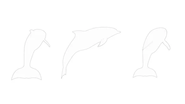 Dolphines 3d rendering isolated in white studio background — 스톡 사진