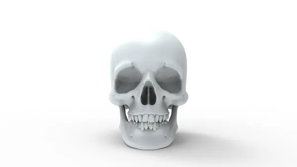Representación 3d de múltiples vistas de un cráneo humano aislado en fondo blanco — Foto de Stock