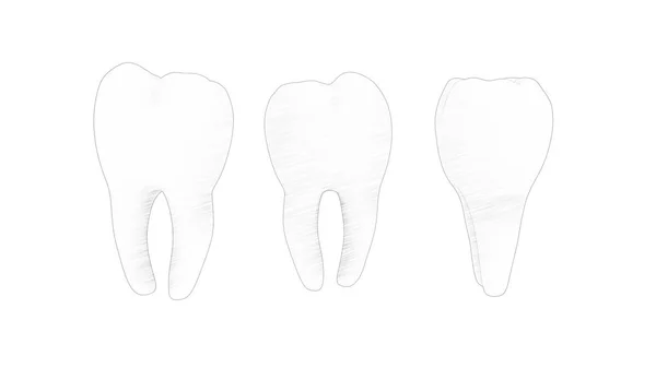 在白色背景中孤立的牙齿磨牙的3D绘制 — 图库照片