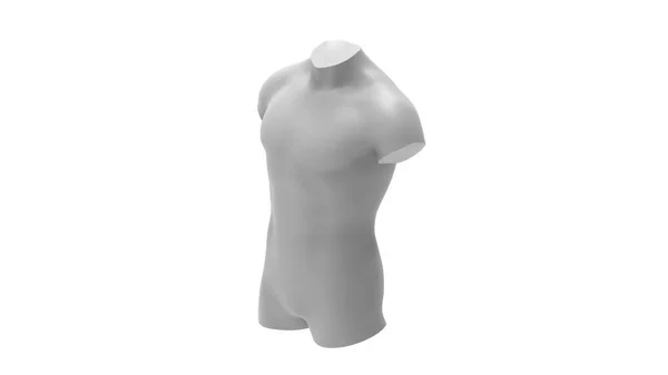 3D рендеринг мужского туловища на белом фоне — стоковое фото