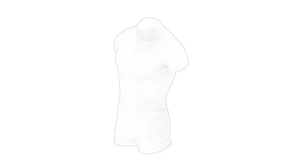 3d renderização de um torso masculino isolado em fundo branco — Fotografia de Stock