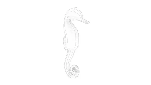 Illustration de rendu 3d d'un hippocampe isolé en studio blanc — Photo