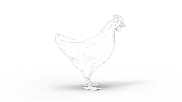 Representación 3d de un pollo aislado en fondo blanco —  Fotos de Stock