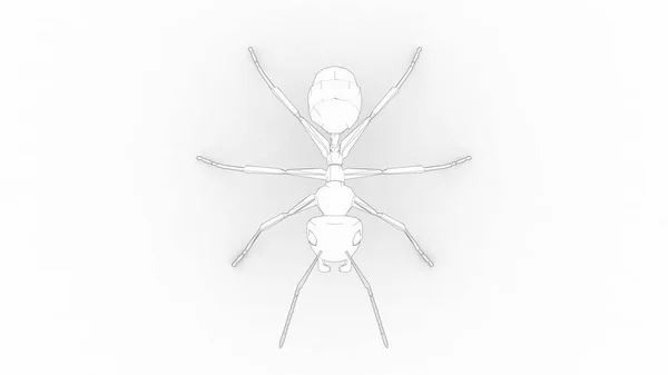 3d renderowanie mrówki izolowane w białym tle studio — Zdjęcie stockowe
