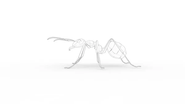 Beyaz stüdyo arka planında izole edilmiş bir karıncanın 3D görüntüsü — Stok fotoğraf