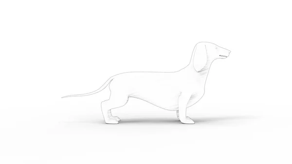 3d rendering sketch of multiple views of a Dachshund isolated in white — Stock Photo, Image