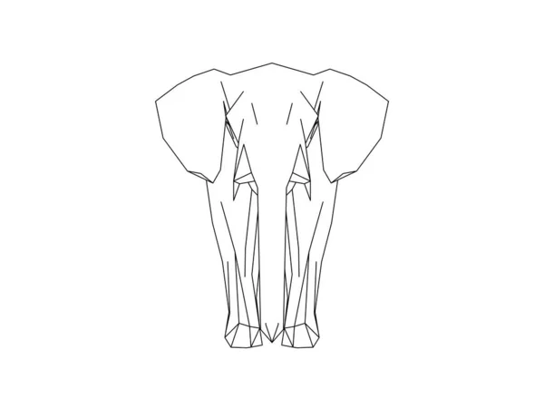 Векторні ілюстрації фронту дикого слона ізольовані на білому тлі — стоковий вектор