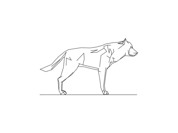 Ilustración vectorial de un lobo aislado sobre fondo blanco — Vector de stock