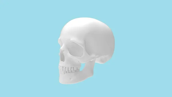 Rendering 3D di una persona con cranio umano isolato — Foto Stock