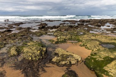 Düşük tide kayalık plaj dalgalar ve okyanus mavi bulutlu gökyüzü deniz manzarası Durban, Güney Afrika için karşı
