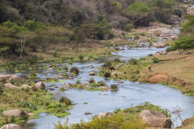 Hızlı Akan Umgeni Nehri