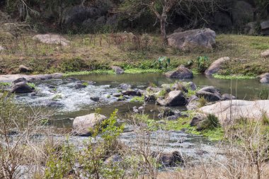 Hızlı Akan Umgeni Nehri