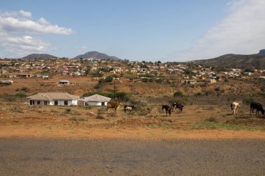 Yamaç Üzerinde Dağınık Kırsal Konut