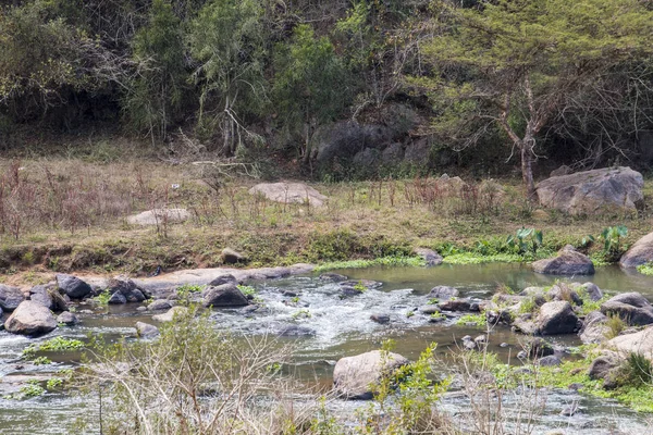 Hızlı Akan Umgeni Nehri