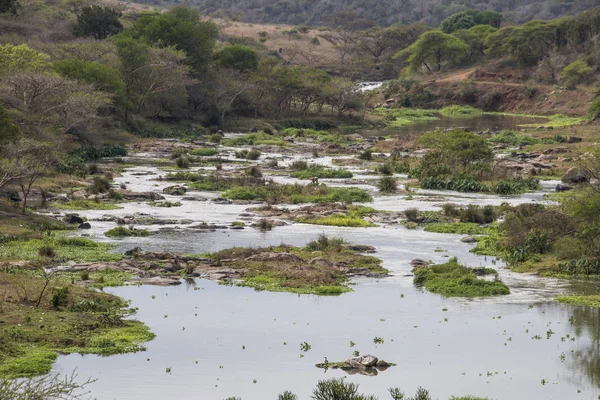 Snabbt flödande Umgeni River — Stockfoto