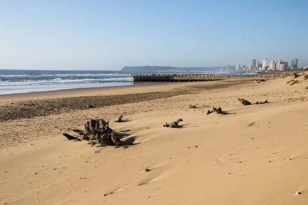 Derivados lavados na praia de Durban — Fotografia de Stock