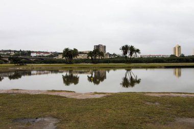 Yağmurlu Bir Günde Sudaki Yansımalar