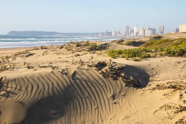 Végétation recouvrant les dunes avec des bâtiments au loin — Photo