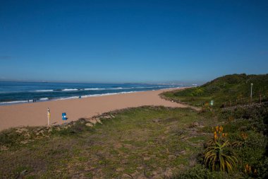 Dune rehabilitasyonunda aloes içeren durban kıyı şeridi manzarası