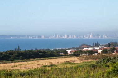 Arka planda Durban sahili binalarıyla körfeze bakan doğal çalı.