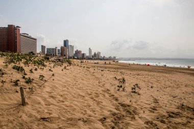 Arka planda sahil binaları olan durban plajı.