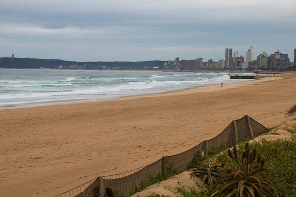 Mille Doré Durban Avec Réhabilitation Des Dunes Premier Plan — Photo